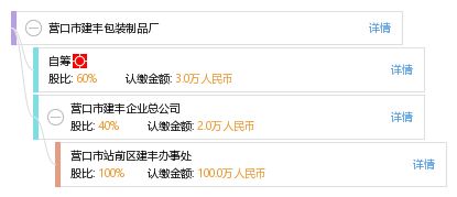 營口市建豐包裝制品廠網站建設 打造數字化展示與業(yè)務拓展新平臺