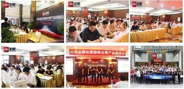 2019年網站建設 低門檻高回報的創(chuàng)富機遇